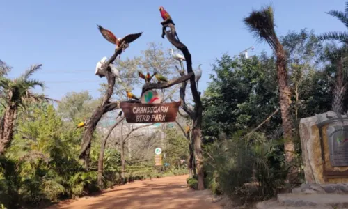 Chandigarh Bird Park